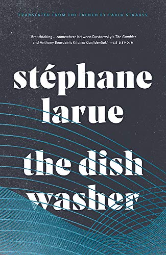 The Dishwasher (Biblioasis International Translation Series)